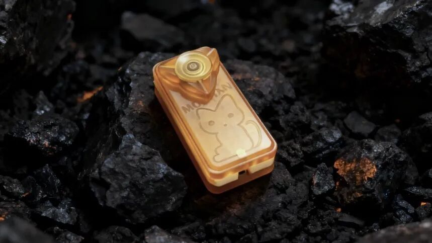 MS EDC Iced Cola